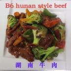 Best Hunan Style Beef in Victoria, TX